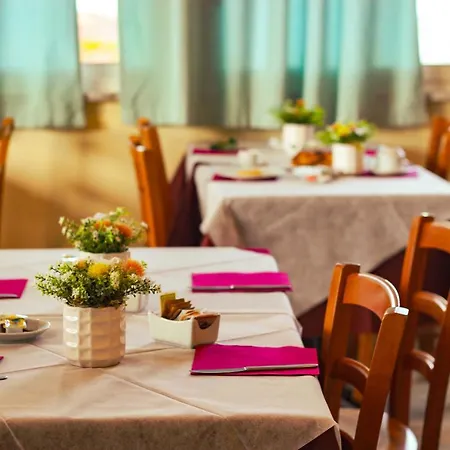 Garden فندق